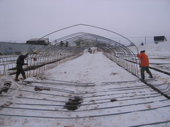 IMG_0001.JPG