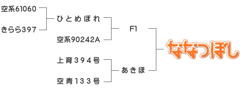 nanatuboshi-img.gif