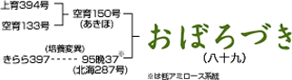 おぼろづき